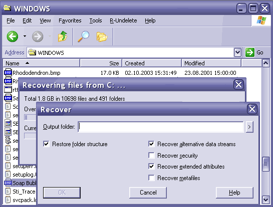 Screenshot of 1.0 R-Undelete File Recovery Tools