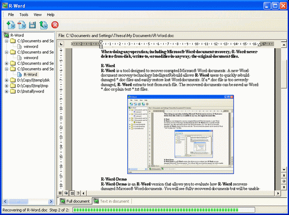 R-Word Recovery - Microsoft Word Document Recovery software.